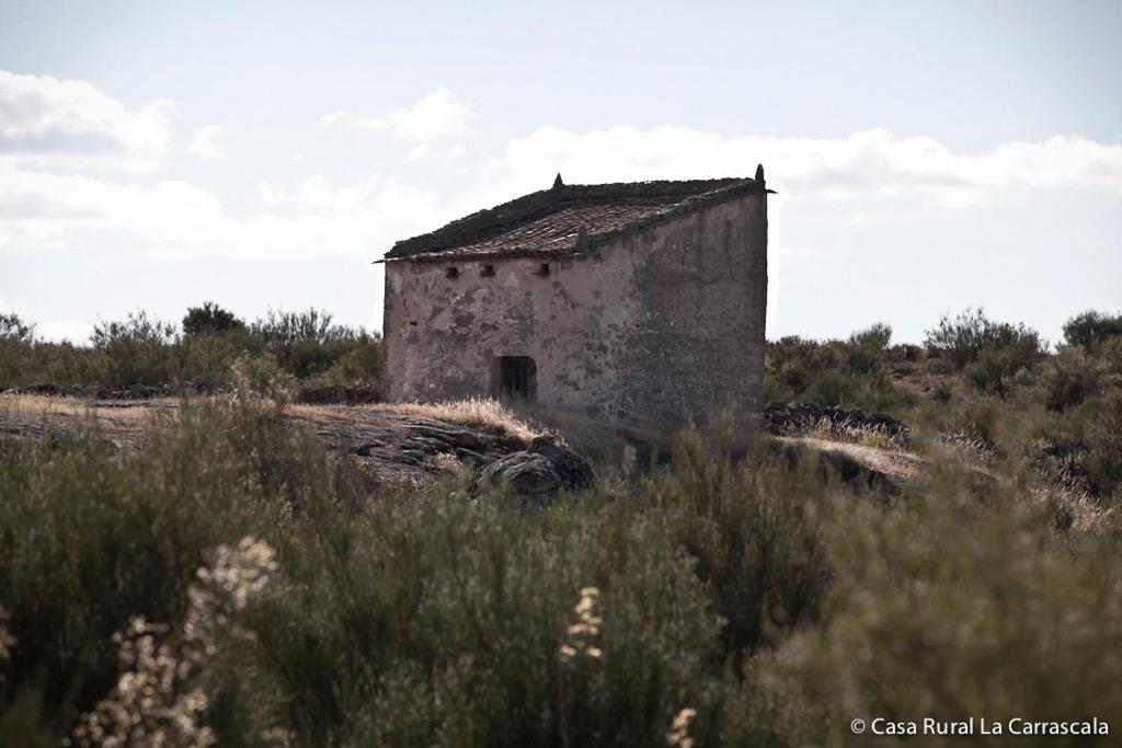 Casa Rural La Carrascala ثامورا المظهر الخارجي الصورة
